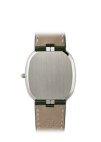 Patek Philippe 3738/100G-014