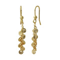 Gold Plated 925 Sterling Silver Dangling Confetti Earrings - ARE00025GP