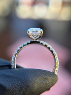 French Pavé Hidden Halo Engagement Ring