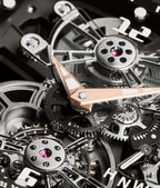 Richard Mille - RM 17-01 - Manual Winding Tourbillon