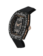 Richard Mille - RM 07-01 - Automatic Winding Intergalactic