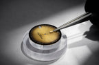Audemars Piguet - 39 mm - 18K Yellow Gold