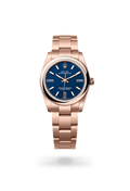 Rolex Oyster Perpetual 34 124205-0002