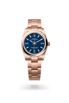 Rolex Oyster Perpetual 34 124205-0002