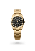 Rolex Oyster Perpetual 34 124208-0001