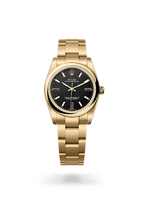 Rolex Oyster Perpetual 34 124208-0001