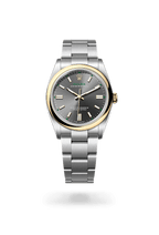 Rolex Oyster Perpetual 36 126003-0001