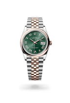 Rolex Datejust 36 126201-0051
