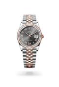 Rolex Datejust 36 126281RBR-0035