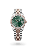 Rolex Datejust 36 126281RBR-0039
