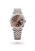 Rolex Datejust 36 126281RBR-0041