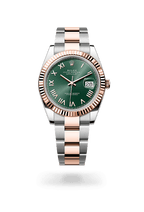 Rolex Datejust 41 126331-0021