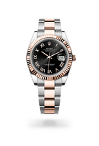 Rolex Datejust 41 126331-0023