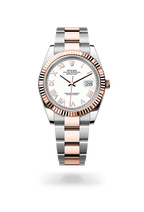 Rolex Datejust 41 126331-0025