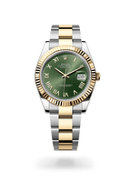 Rolex Datejust 41 126333-0023