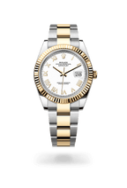 Rolex Datejust 41 126333-0025