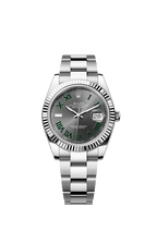 Rolex Stainless Steel Datejust - 41mm - Slate - Oyster