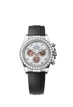 Rolex White Gold Daytona - 40mm - White and black mother-of-pearl Diamond Dial