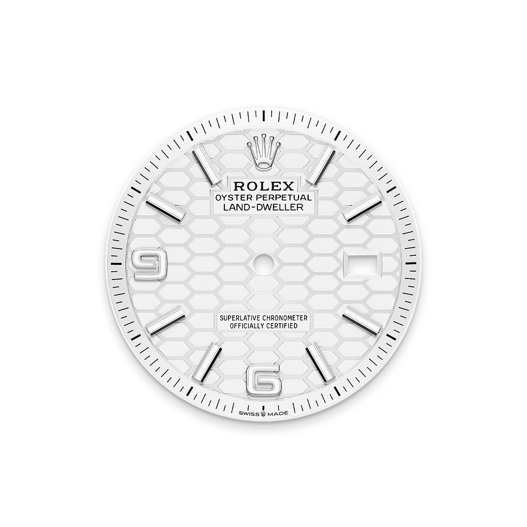 Land-Dweller Intense white honeycomb dial