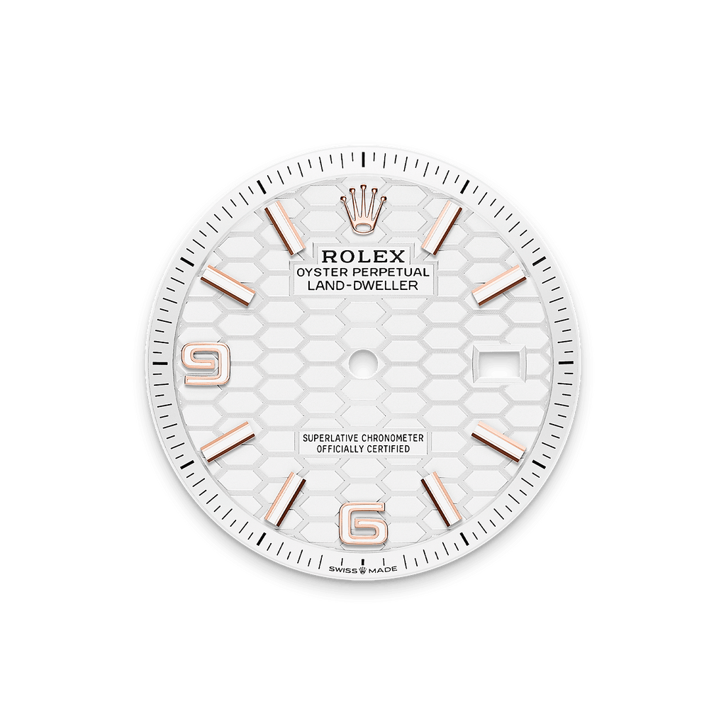 Land-Dweller Intense white honeycomb dial