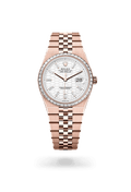 Rolex Land-Dweller 36 127285TBR-0002