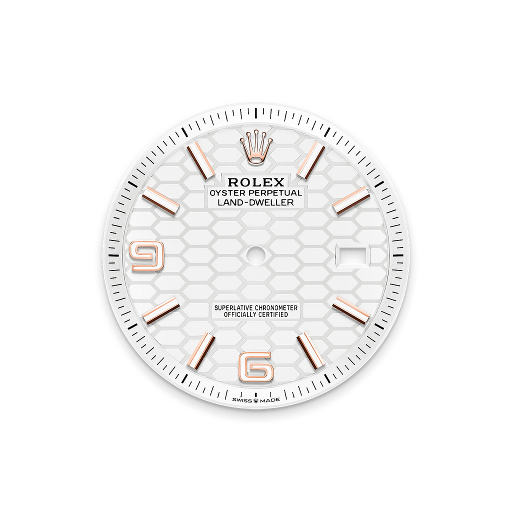 Land-Dweller Intense white honeycomb dial