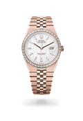 Rolex Land-Dweller 40 127385TBR-0003