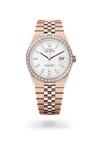 Rolex Land-Dweller 40 127385TBR-0003