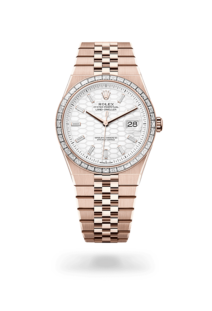 Rolex Land-Dweller 40 127385TBR-0003