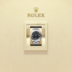 Rolex 134300-0008