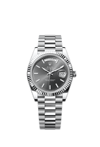 Rolex Platinum Day-Date - 40mm - Slate - President