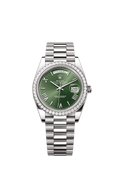 Rolex White Gold Day-Date - 40mm - Olive green - President