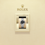 Rolex 276200-0010