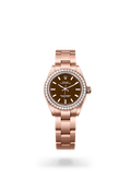 Rolex Oyster Perpetual 28 276245RBR-0002