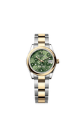 Rolex Two-Tone (YG/SS) Datejust - 31mm - Olive green, floral motif Diamond Dial - Oyster