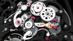 Richard Mille - RM 030 - Automatic Winding with Declutchable Rotor