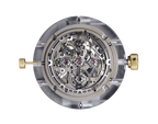 Richard Mille - RM 25-01 - Manual Winding Tourbillon Chronograph Adventure