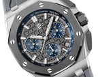 Audemars Piguet - 43 mm - Titanium
